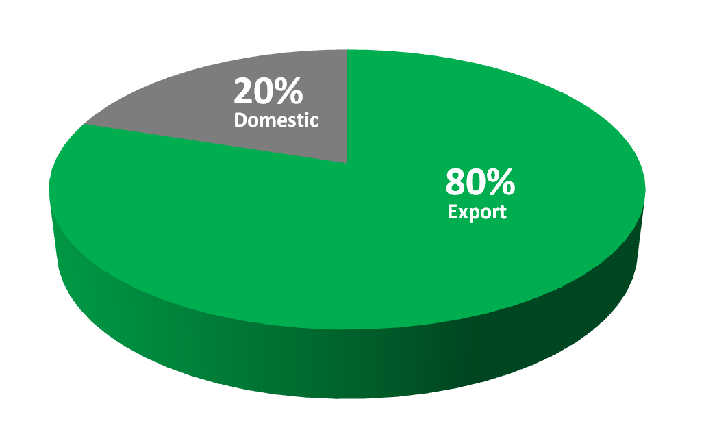 Global Footprint - Stellar International